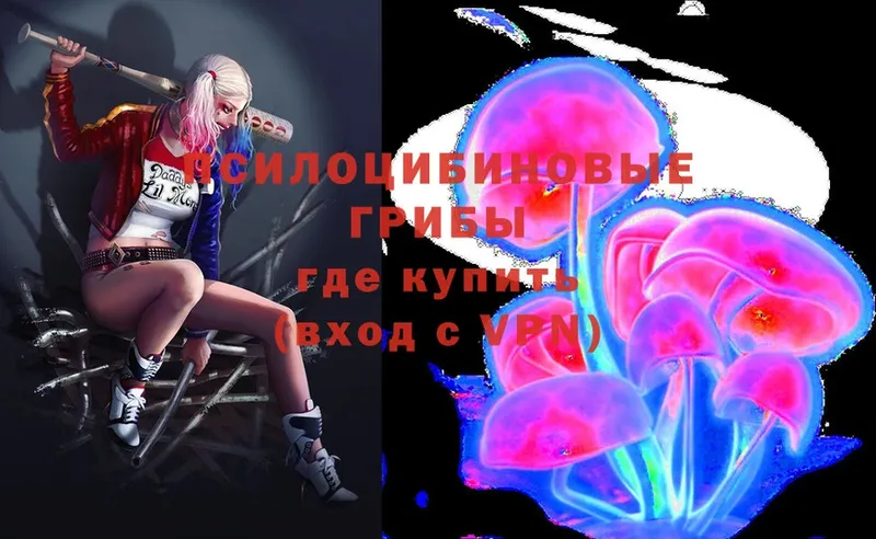 Псилоцибиновые грибы Magic Shrooms  Краснозаводск 